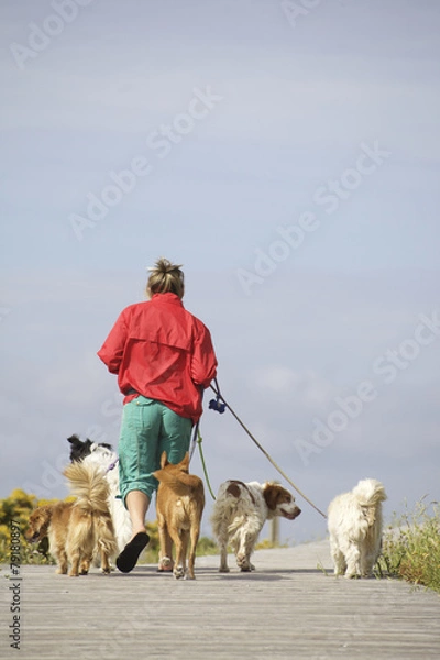 Obraz PASEANDO A LOS PERROS