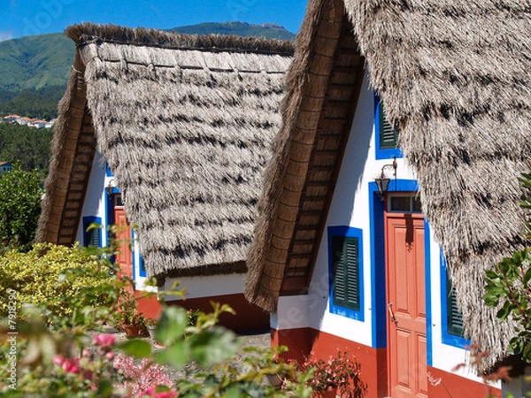 Obraz Hütten auf Madeira
