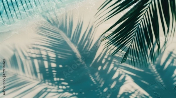 Fototapeta Top view of tropical leaf shadow on water surface. Shadow of palm leaves on white sand beach. Beautiful abstract background concept banner for summer vacation at the beach
