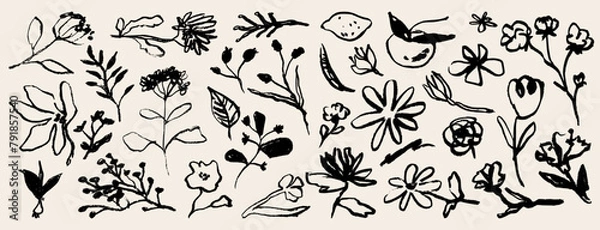 Obraz Contemporary abstract minimal tattoo flower collection. Vector illustration. Ink hand drawn wild flowers set. Abstract plants art in charcoal or crayon drawing style. Pencil drawn floral elements.