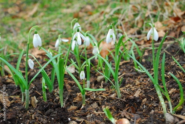 Obraz 포토시리즈(해외여행)