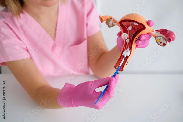 Obraz A close-up method of cytological examination by taking a smear from the cervix on an artificial training model. Diseases and cancers of the female reproductive organs
