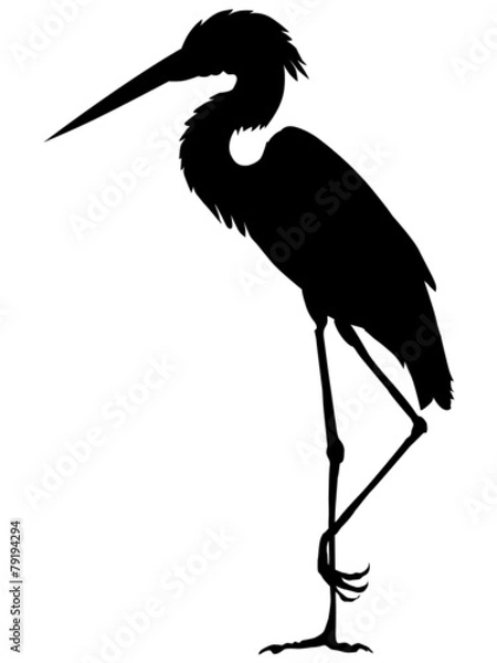Obraz heron