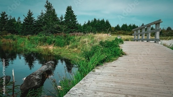 Fototapeta Boardwalk