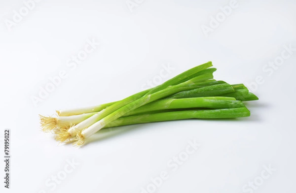 Fototapeta Spring onions