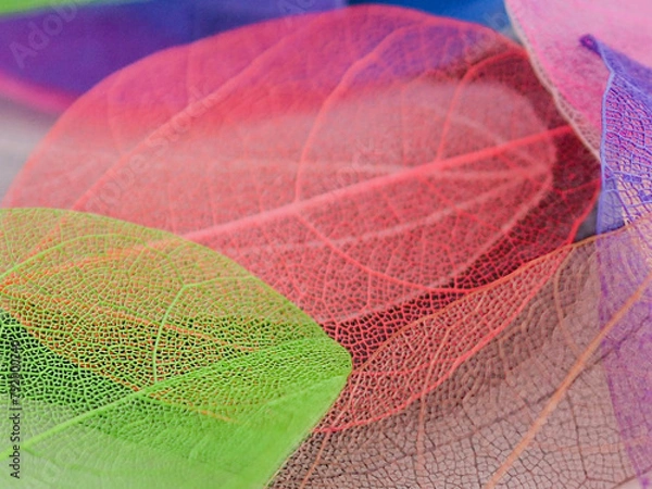 Obraz artificial colored leaves in a mess 