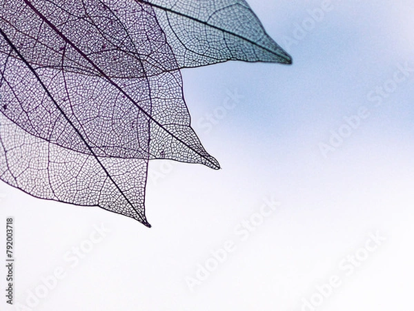 Obraz artificial colored leaves in a mess 