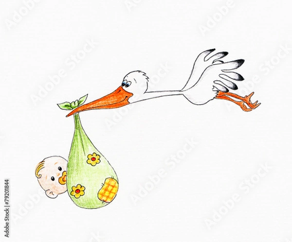 Obraz Stork with baby