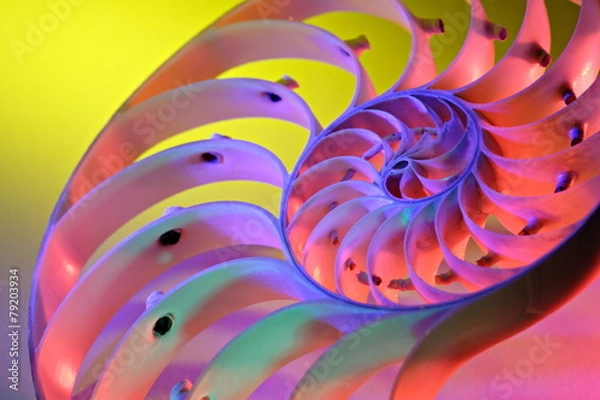 Fototapeta 포토시리즈