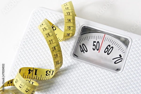 Obraz 포토시리즈