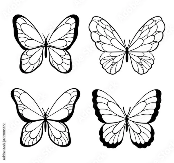 Fototapeta set of butterflies butterfly outline vector svg