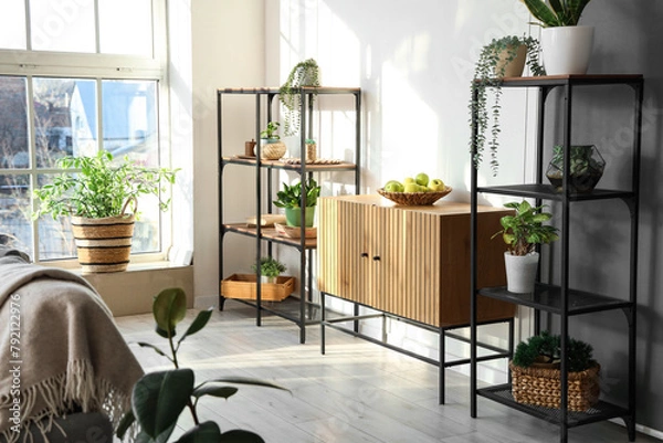 Fototapeta Interior of modern room with wooden chest drawer and houseplants