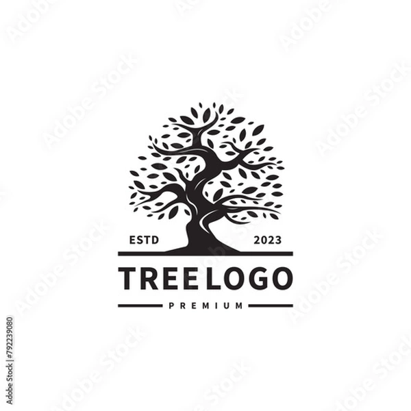 Fototapeta tree and root logo design tree of life vector inspiration