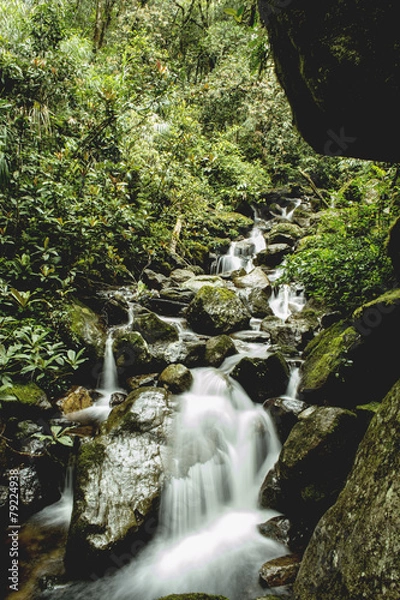 Obraz Mount Kinabalu Waterfall