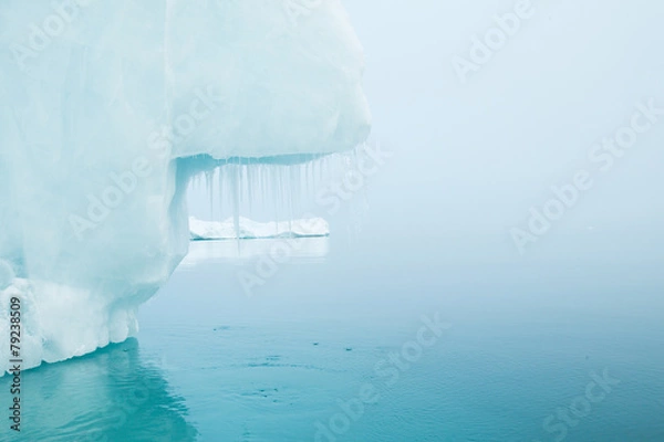 Obraz Glaciers and icebergs