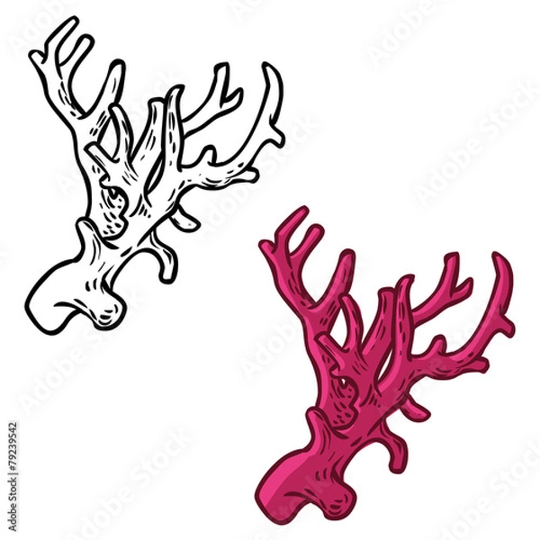 Fototapeta Vector icon set with coral