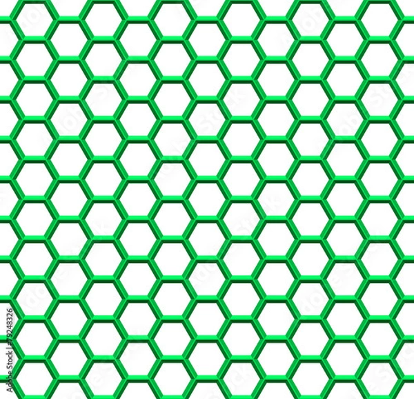 Obraz Hexagonal net