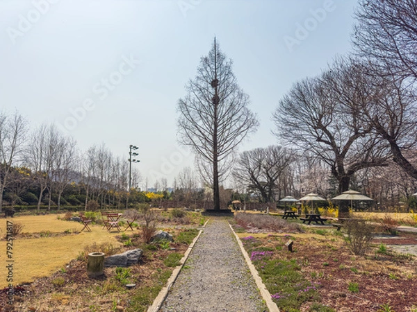 Obraz dutch windmill in spring