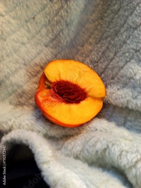 Obraz Nectarine