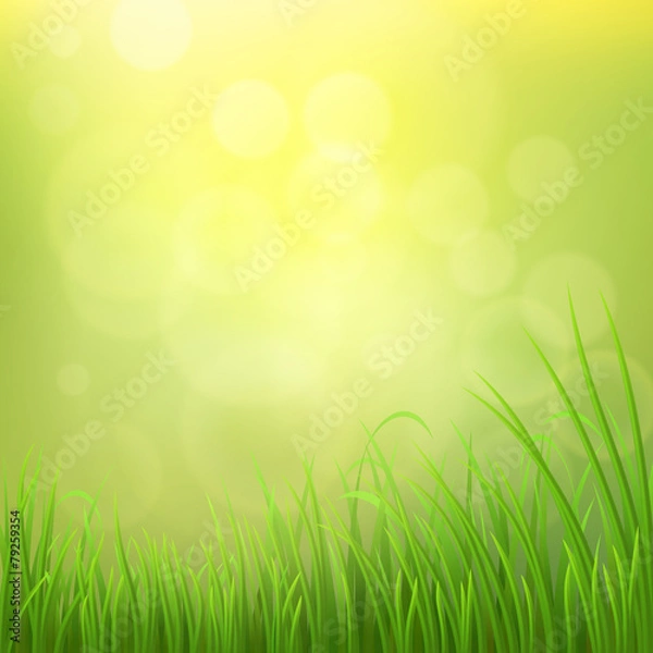 Fototapeta Spring nature background with green grass, vector illustration