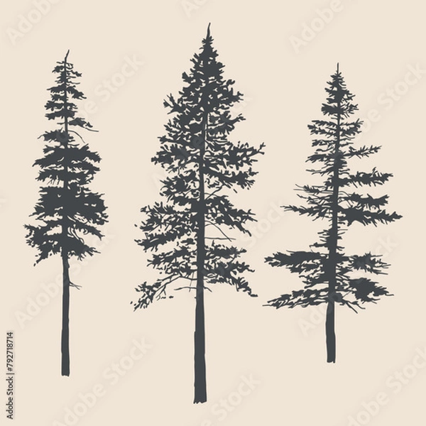 Obraz Pine Tree Silhouettes: Hand-Drawn Vector Illustrations with Intricate Detail.