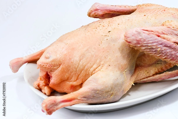 Fototapeta roher Gänsebraten, raw roast goose