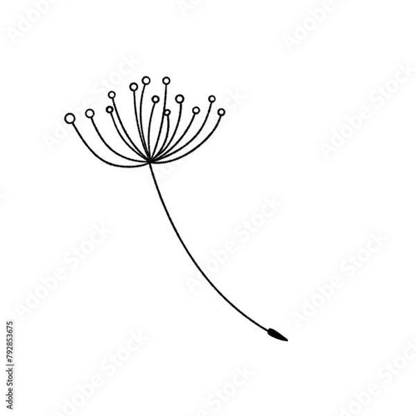 Obraz Dandelion’s seed