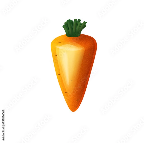 Obraz Carrot isolated on transparent background