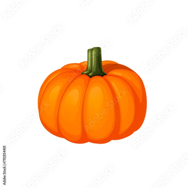 Obraz Pumpkin on transparent background