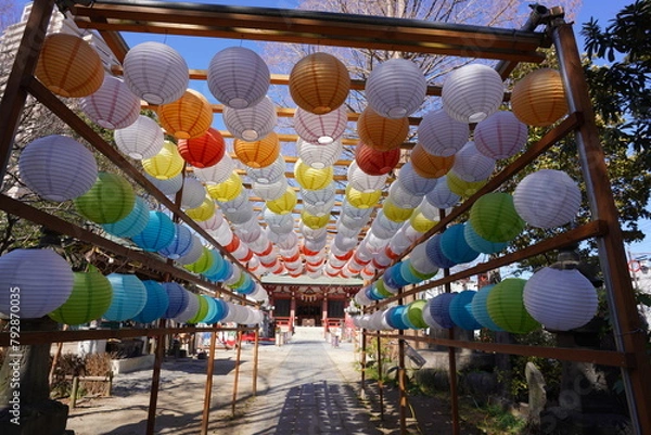 Fototapeta 日本の電灯の雛祭り 埼玉県越谷香取神社の雛飾り