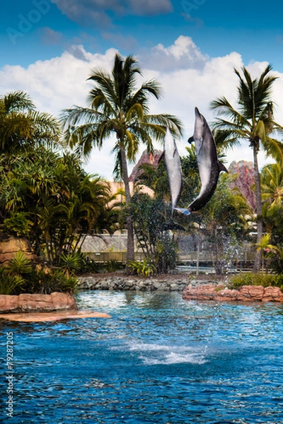 Obraz Two Jumping Dolphins 1