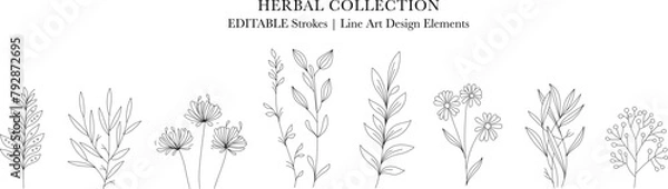 Obraz Herbal Collection. Editable line art monochrome Design. Set of linear floral designs, medicine flowers and plants
