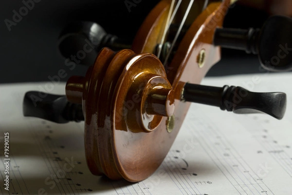 Obraz Volute et chevilles de violon