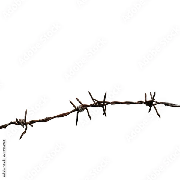 Obraz Barbed wire set against a transparent background