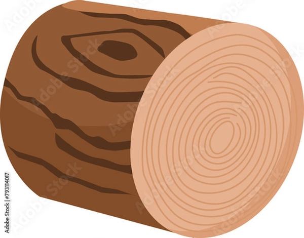 Obraz Wooden log