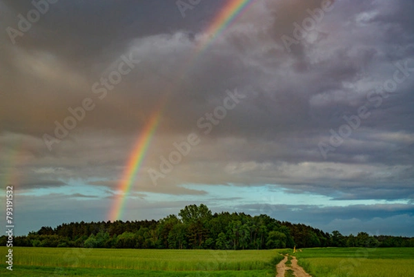 Obraz rainbow over the fields