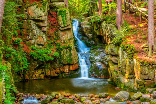 Obraz waterfall in the forest