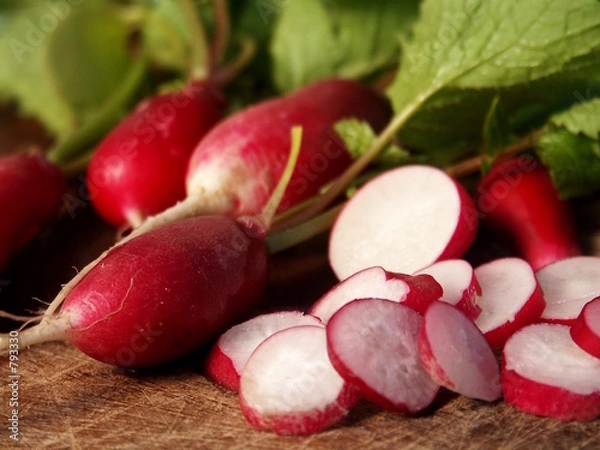 Obraz radieschen