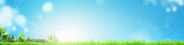 Fototapeta Beautiful spring summer natural landscape. Green meadow, garden or park grass on blue background with sun and bokeh lights on warm sunny day. Colorful bright nature panoramic banner with copyspace.