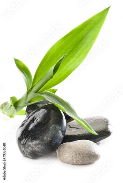 Obraz Bambus mit Steinen