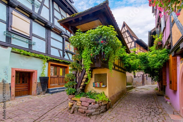 Fototapeta A picturesque alley with two paths surrounded by colorful half-timbered medieval homes in the French village of Eguisheim, France, in the Alsace region.	