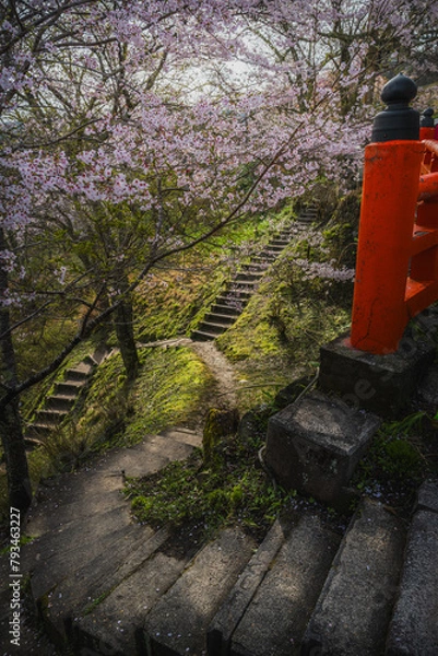 Obraz 奈良県 春の吉野山の桜景色