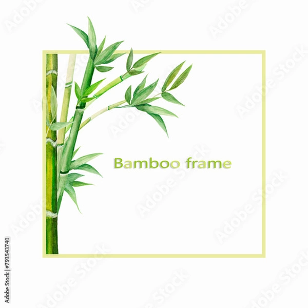 Obraz Frame square with bamboo stems, hand drawn watercolor illustration, succulent stems and green leaves in Asian style, there is space for text. For design of flyers, labels, cosmetics, gift packaging