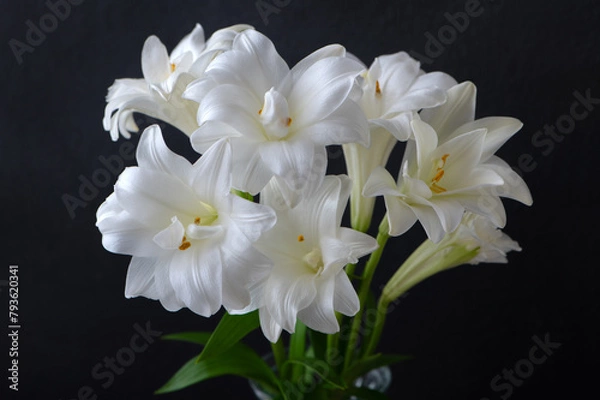 Obraz 八重咲きの百合