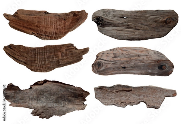 Fototapeta bois flottés détourés