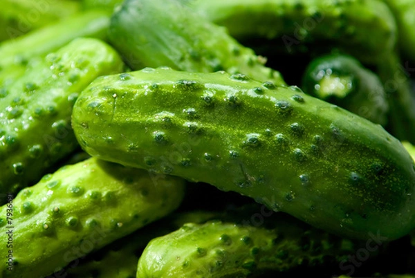 Obraz Ogórki konserwowe