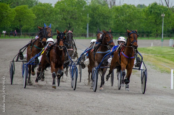 Fototapeta Racing horses trots and rider on a track of stadium. Competitions for trotting horse racing. Horses compete in harness racing. Horse runing at the track with rider.
