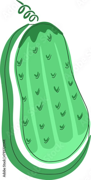 Obraz Cucumber