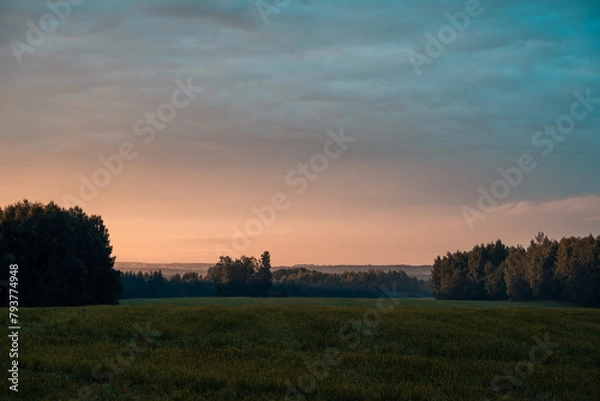 Fototapeta beautiful field from the road
