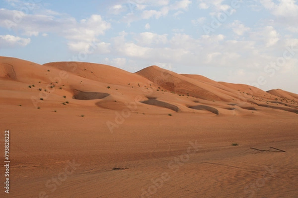 Obraz Sand dunes scene